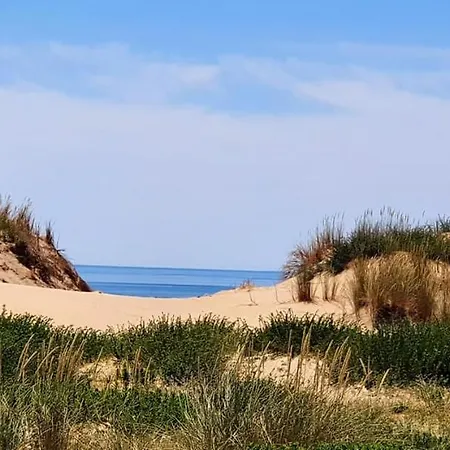 Studio Coeur De Ronce Les Bains * La Tremblade